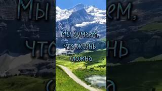 Стих со смыслом.  Жизненная поэзия.  Потрясающий стих.  Мы думаем, что жизнь сложна... #shorts