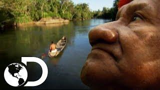 El ritual de los chamanes piaroa  | Latinoamérica salvaje | Discovery Latinoamérica