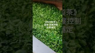 《台灣好茶包》喝烏龍冷泡茶～消暑又無負擔《阿里山頂湖 烏龍茶包》沖泡方便～喝茶很簡單～產地品質保證～台灣高山好茶～跟茶友分享