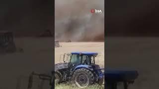 Diyarbakır’da bin dönümden fazla biçilmemiş buğday ve arpa yangında kül oldu