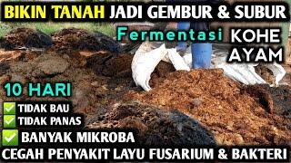  CARA FERMENTASI KOHE AYAM/KAMBING/SAPI SISTIM BERLAPIS LEBIH CEPAT MATANG #petanicabesubang