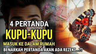 4 PERTANDA KUPU KUPU MASUK KE DALAM RUMAH BENARKAH PERTANDA AKAN ADA REZEKI ??