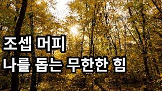 당신은 혼자가 아닙니다 | 잠자면서 잠재의식을 바꾼다 | 조셉머피 | 광고없음 | 숙면을 취하는 8분 긍정확언