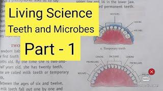 Class 4th || Living Science = 2. Teeth and Microbes { part - 1 }