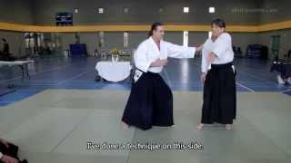 Stanley Pranin's "Zone Theory of Aikido" Course: Introducing the Principle of Confusion