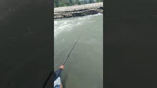 kemaren mancing pas lagi mudik