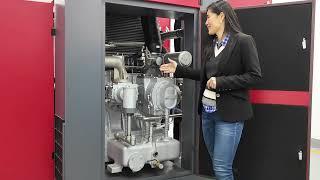 Cleaner Air, Better Performance: Oil Free Screw Air Compressor Benefits - Sollant Compressor