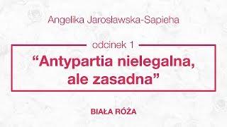 Antypartia nielegalna, ale zasadna | Biała Róża