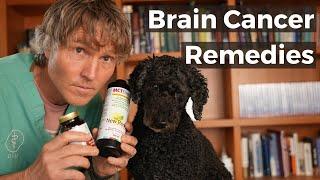 Brain Tumors in Dogs: Home Remedies