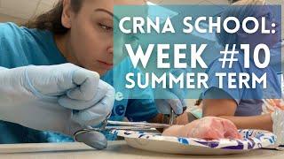 CRNA School: Semester 2, Week 10 Vlog - exams, presentations, and hey I can suture!