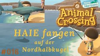 LETS PLAY ANIMAL CROSSING New Horizons - HAIE fangen auf der Nordhalbkugel - [#016]