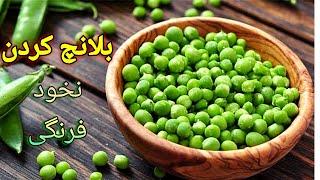 cooking with shakiba بلانچ کردن نخود فرنگی : نگه داری طولانی مدت نخود فرنگی