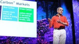 Put a value on nature! - Pavan Sukhdev