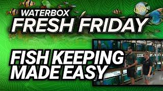 Fresh Friday - Keeping Fish Made Easy