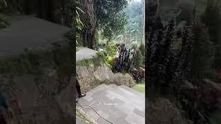 Bali swing #rageneration #top #viral #giantswing #trending