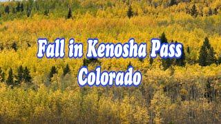 STUNNING FALL FOLIAGE IN KENOSHA PASS, COLORADO ug #colorado #fallfoliage #kenosha #autumn