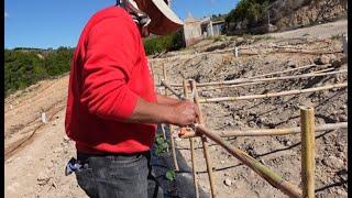 Huerto de casa , cuidados