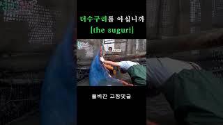 더수구리를 아십니까 #shorts I 섬마을할매 시즌 2