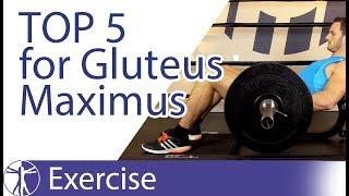 Top 5 Gluteus Maximus Exercises