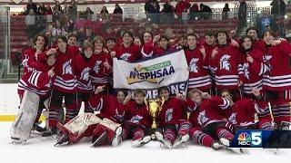 Saranac high school boys' ice hockey scores six goals for Section VII championship title