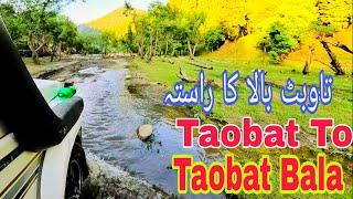 Taobat Bala | Taobat To Taobat Bala | Neelum Valley Azad Kashmir Pakistan