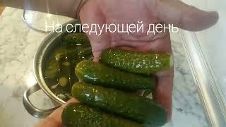 огурцы малосольные без заморочек