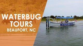 Waterbug Tours in Beaufort | North Carolina Weekend | UNC-TV