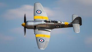 Sea Fury T.20 Invincible G-INVN