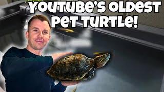 WATCH BEFORE YOU BUY A TURTLE!! - YouTubes OLDEST Turtle