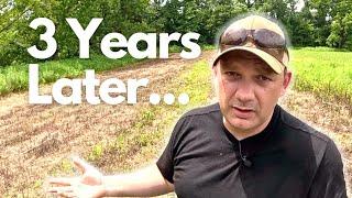 I Tried NO TILL Food Plots and This Is What Happened