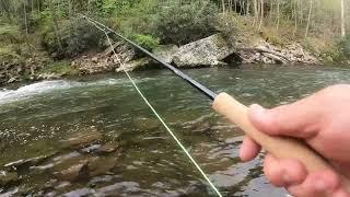 Oconaluftee River Fishing