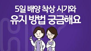 시험관 시술 Q&A | 2달 전 화유 후, 시험관 이식을 앞두고 있습니다. 5일 배양 착상 시기, 유지 방법이 궁금합니다.