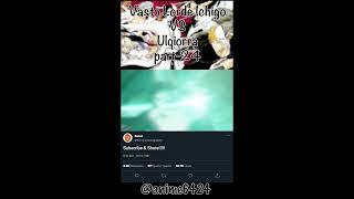 Ulqiorra VS BERSERK VASTO LORDE ICHIGO English dub (part 21)