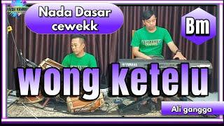 Wong ketelu karaoke - Ali gangga nada cewe Bm versi Cirebonan