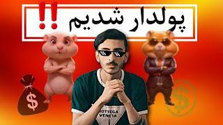 همستر لیست شد  | قیمت رسمی همستر باورنکردنیه 