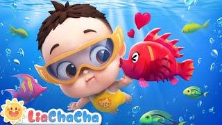 Swimming Song + More LiaChaCha Nursery Rhymes & Baby Songs