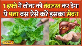 Benefits Of Mint: पुदीने की पत्तियों में होते हैं गुणकारी तत्व, सेहत को पहुंचाएंगे कई फायदे #local18