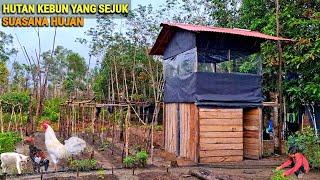Heavy rain takes care of the garden, Install a small pond for irrigation, add chickens, live in t...