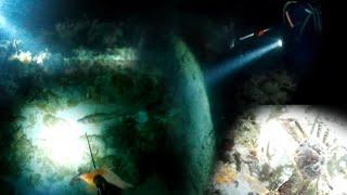 SPEARFISHING IN THE CARIBBEAN DARK DIVE #fishing #spearfishing #caribbean #crab    #hogfish