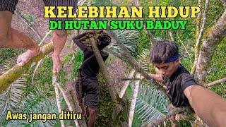 kelebihan Hidup di hutan suku Baduy