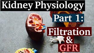 How to Understand GFR | Kidney Filtration | Kidney Physiology