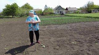 В селе у СВЕКРУНЬКИ‍️