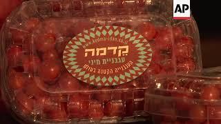 Israeli company says it has developed tiniest cherry tomato