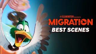 Migration's Best Scenes