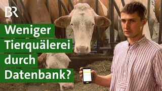 Mehr Tierschutz: Wie sinnvoll ist eine Datenbank für Tiergesundheit? | Tierwohl | Unser Land | BR