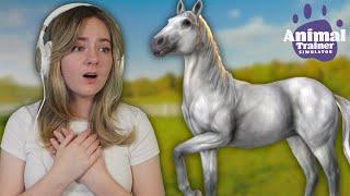 SAVING UNTRAINED HORSES - Animal Trainer Simulator | Pinehaven