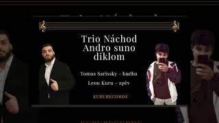 Trio Náchod (andro suno diklom) COVER