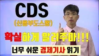 [경제기사 읽기 12] CDS (신용부도스왑 credit default swap)