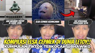 KOMPILASI ELSA CEPMEK TERKOCAK DI DUNIA LETOY!! (PRET 1) | Kumpulan Cerita Terseru Ale Khin @bhawiko