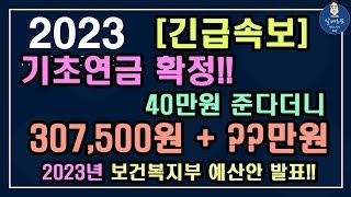 [긴급속보] 2023년 기초연금 확정!! 기초연금 40만원 준다더니 고작 30만원 + ??만원!! 2023년 보건복지부 예산안 발표 / 2023년 기초연금 수급대상 ,